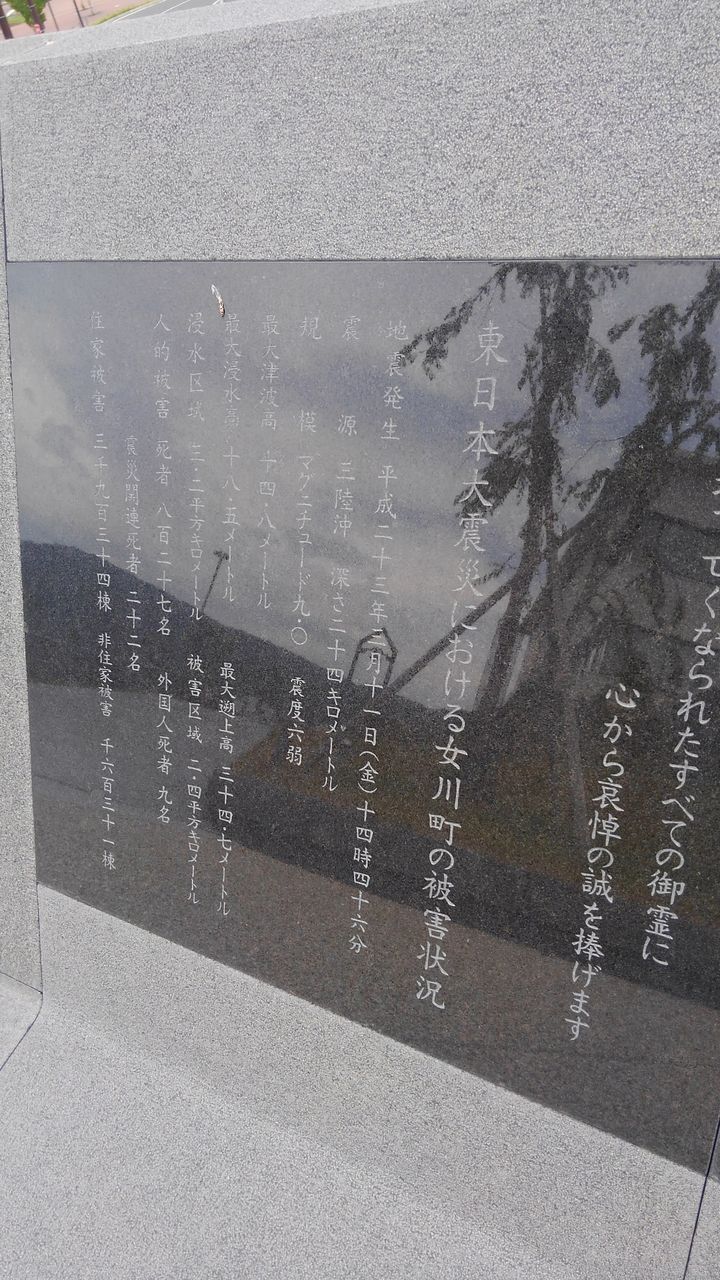 イメージ 15