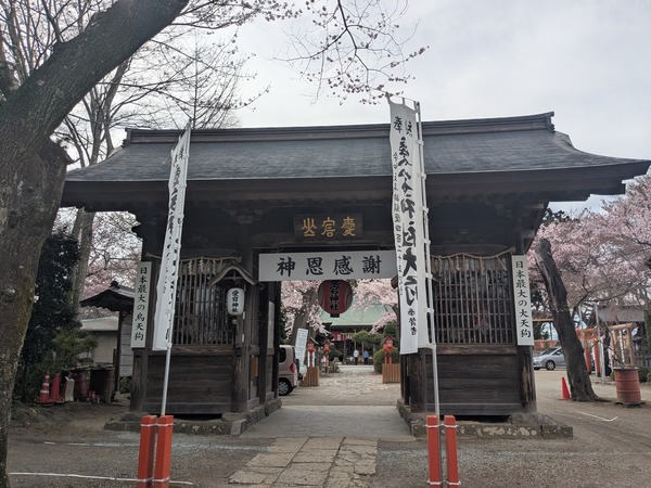 inbound9070206526911334555