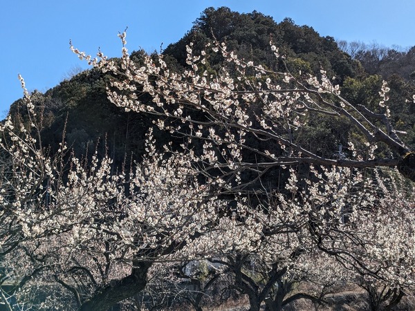 PXL_20240227_020514689