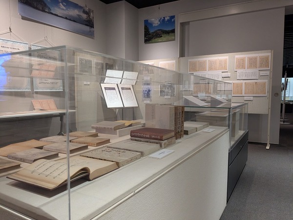 PXL_20260220_065811184