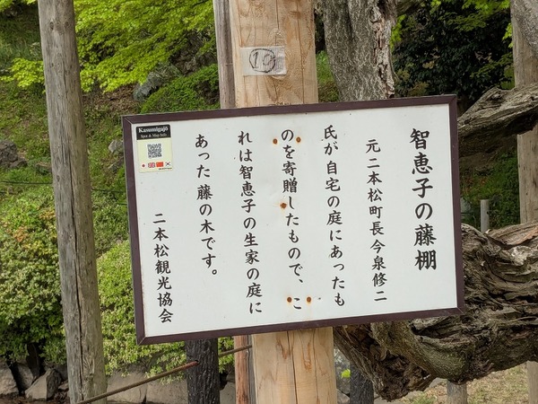 PXL_20250428_011506647