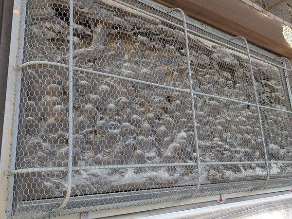 PXL_20231130_043256961