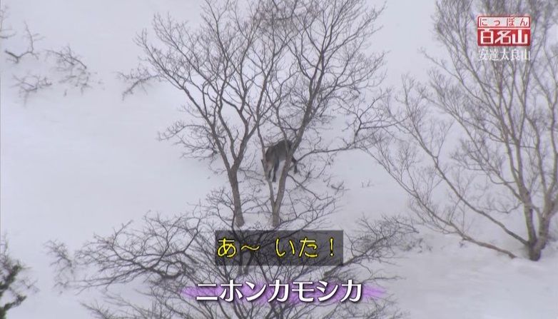 イメージ 9