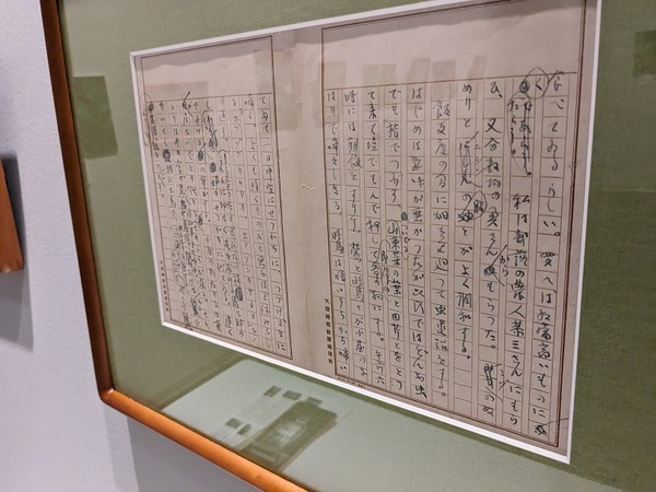 PXL_20240608_064245911