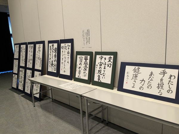 PXL_20260221_001119297