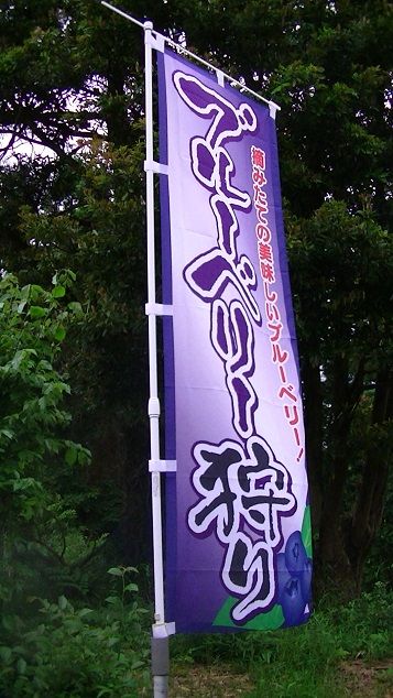 イメージ 6