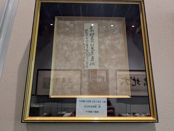 PXL_20250620_070316195.MP