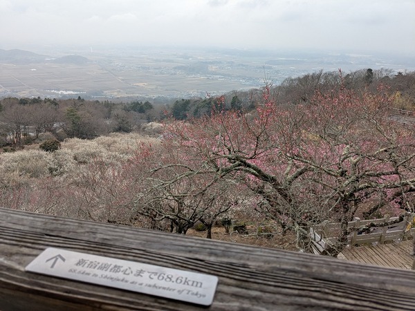 PXL_20250312_021052133