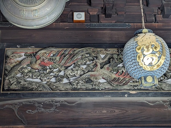 PXL_20231130_043147647