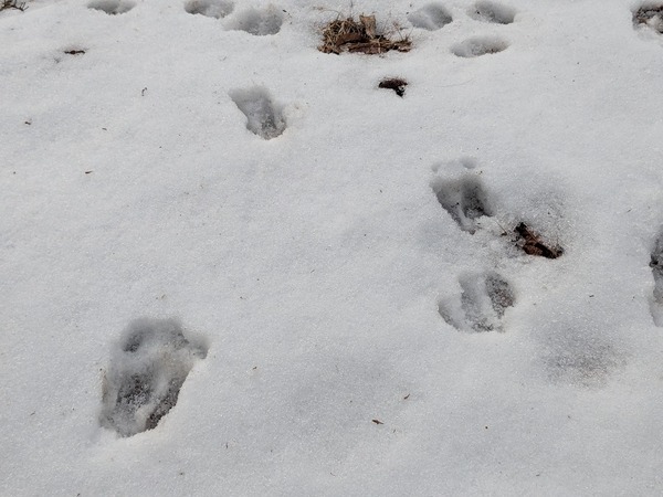 PXL_20251215_235318669