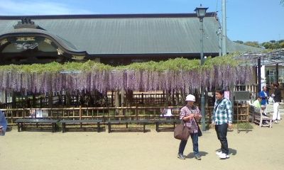 イメージ 1