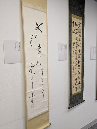 PXL_20251130_015238448