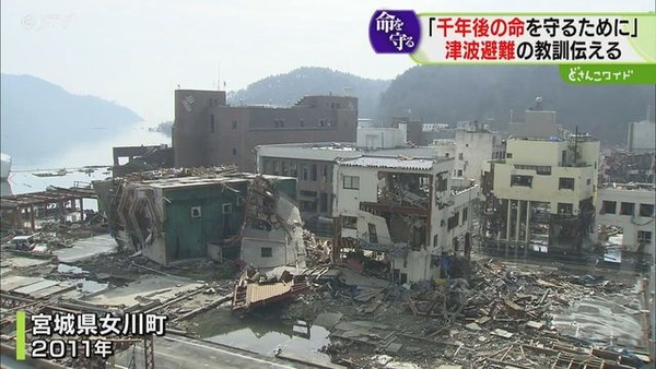 20260314-09915398-stv-004-1-view