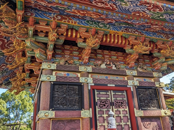 PXL_20231130_043854169