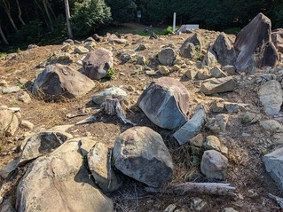 PXL_20250808_232424344