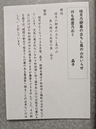 PXL_20251130_021143423