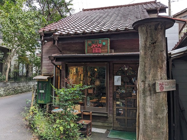 PXL_20231111_050909819