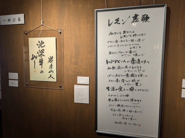 PXL_20260221_050337553