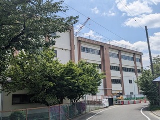 PXL_20260426_022022083