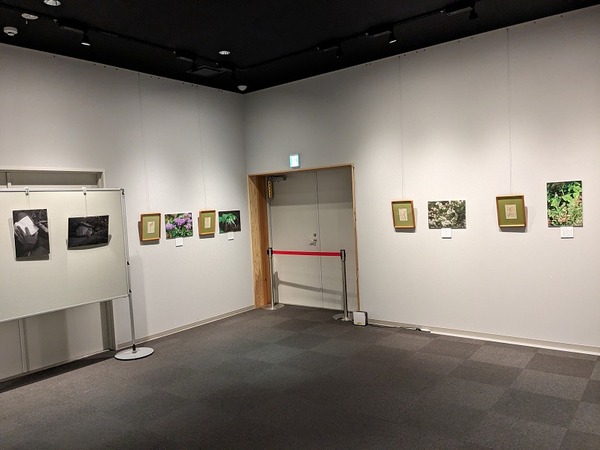 PXL_20240608_064300366