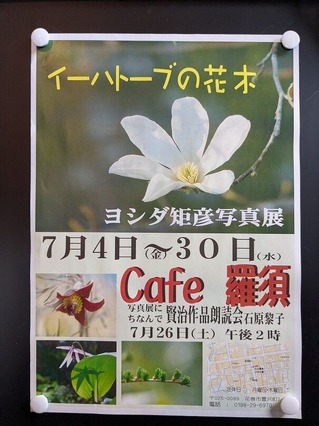 PXL_20250722_050922916