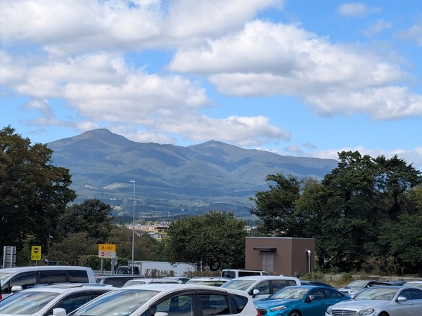PXL_20261003_031151995