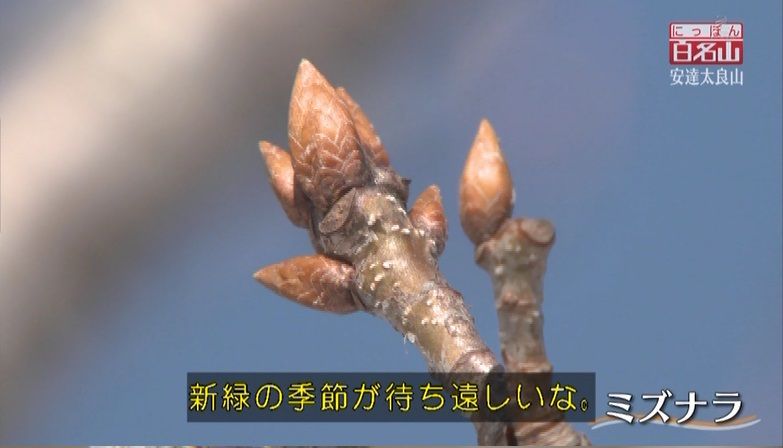 イメージ 11