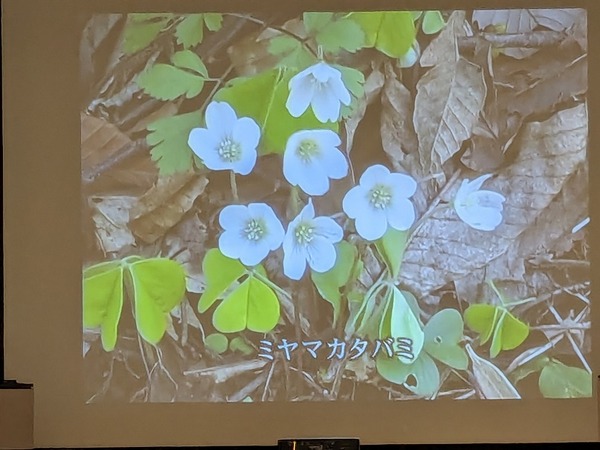 PXL_20240609_005255972