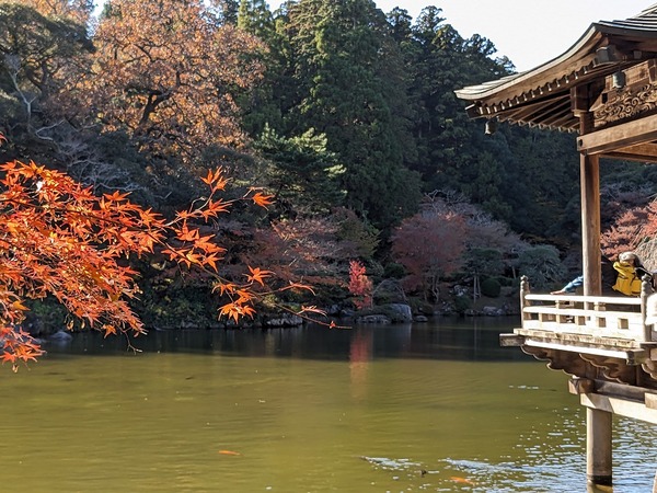 PXL_20231130_041110265