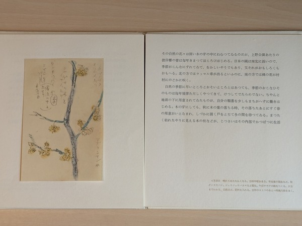 PXL_20260227_230014232