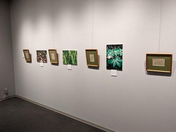 PXL_20240608_064251500