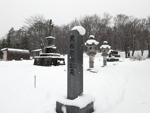 PXL_20221203_232756818