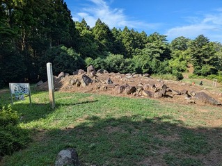 PXL_20250808_232329893