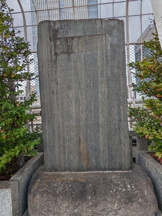 PXL_20221110_044735450