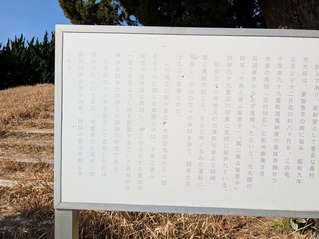 PXL_20260130_030503947