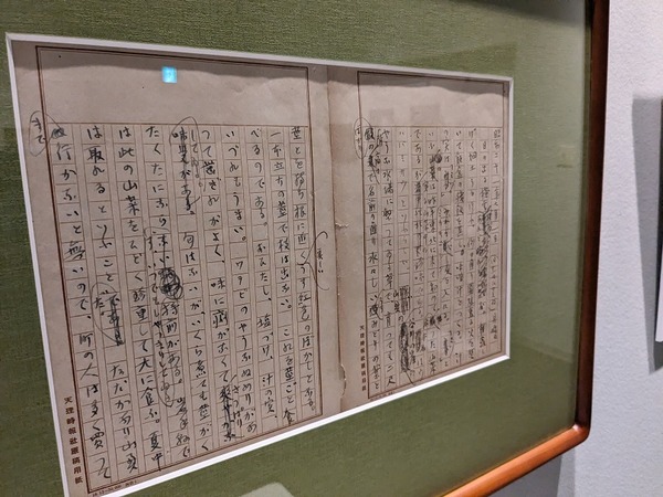 PXL_20240608_064240202