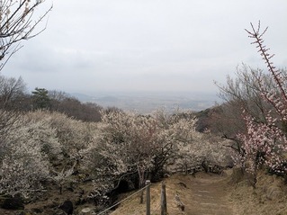 PXL_20250312_020334727