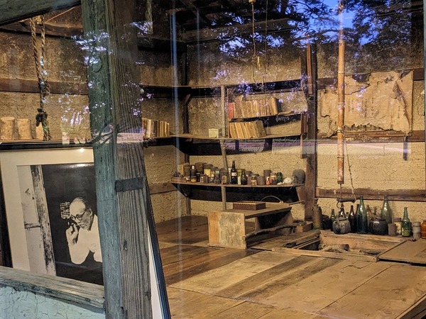 PXL_20240608_071041444