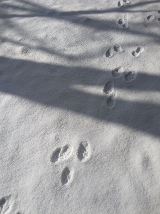 PXL_20230215_002210666