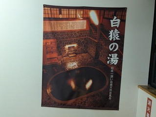 PXL_20251106_105918394