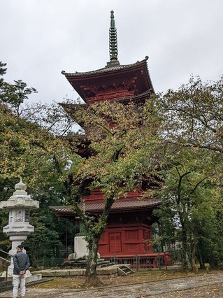 PXL_20221013_044258287