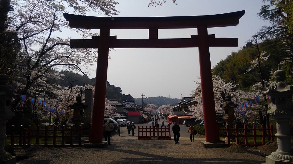 イメージ 5