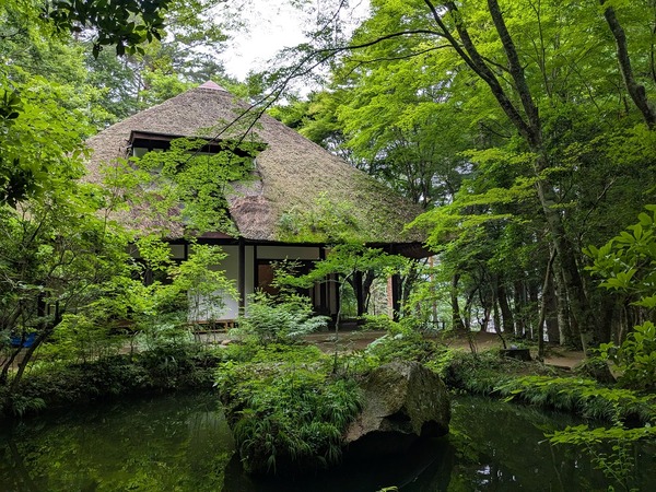 PXL_20250712_050802768