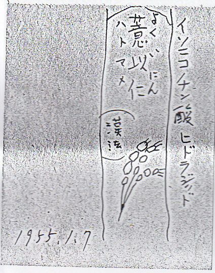 イメージ 3