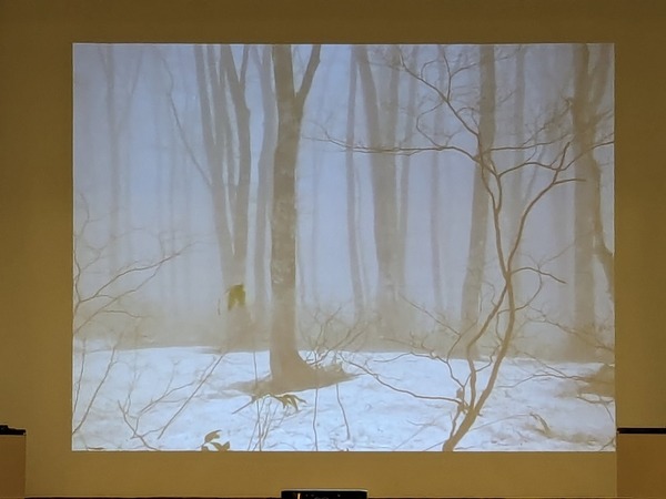 PXL_20240609_005130928