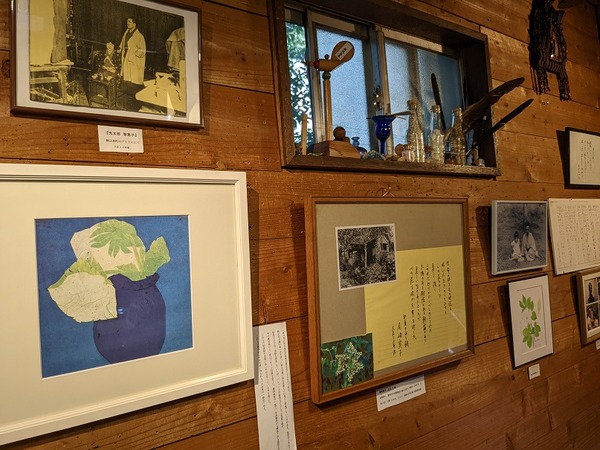 PXL_20221016_044434311