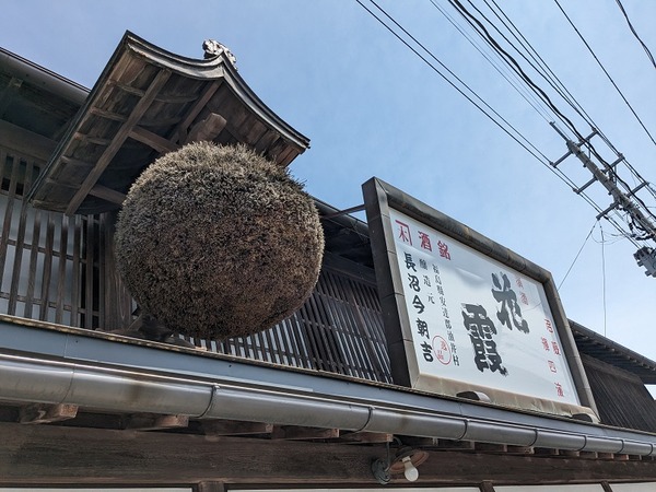 PXL_20240519_002535789