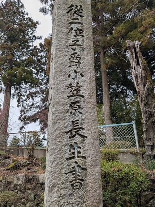 PXL_20250312_013231967