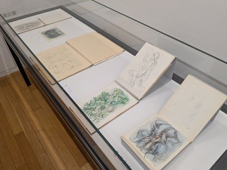 PXL_20250806_081733262