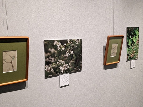 PXL_20240608_064422592